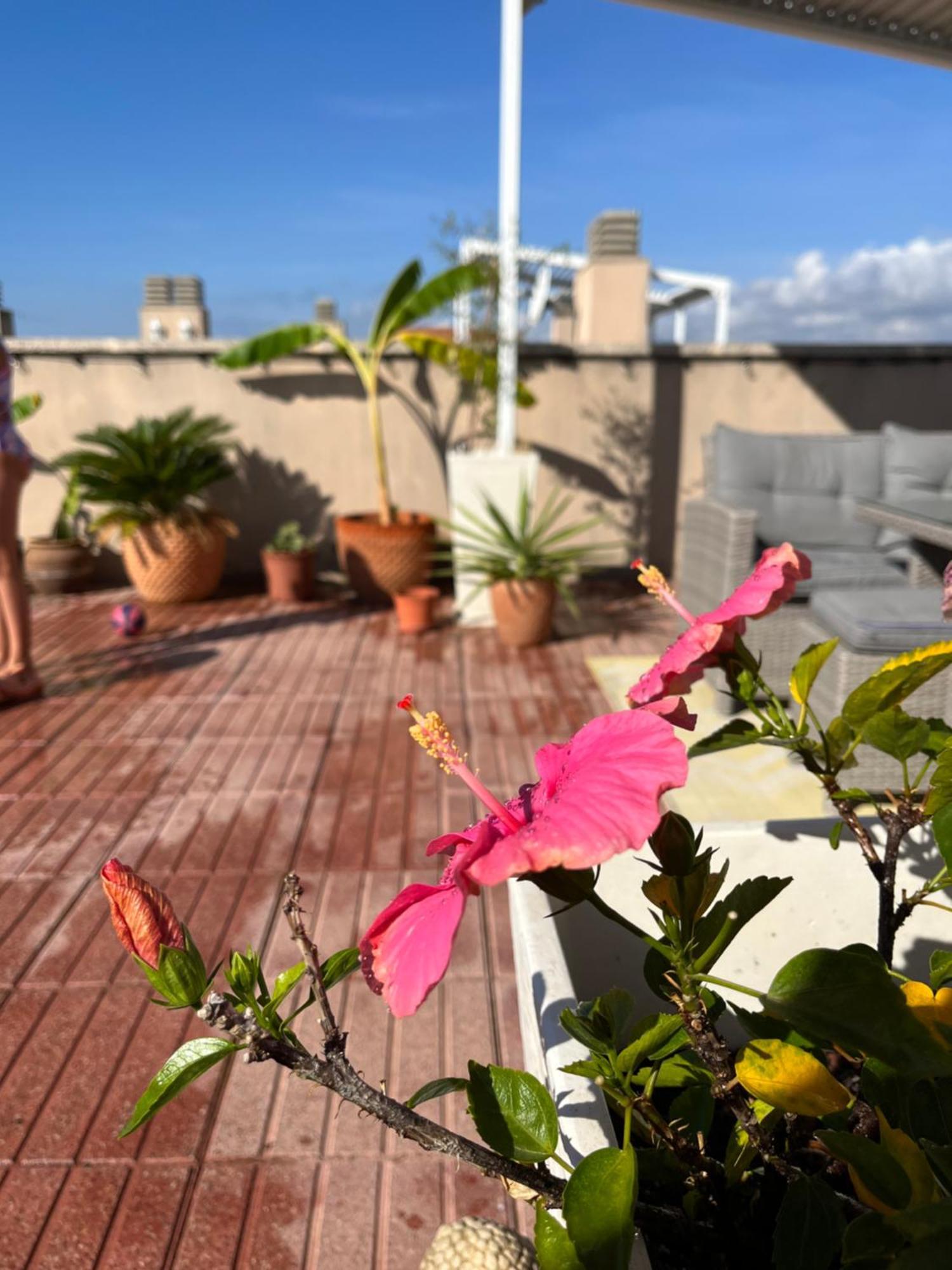 La Azotea Apartment Cambrils Exterior photo